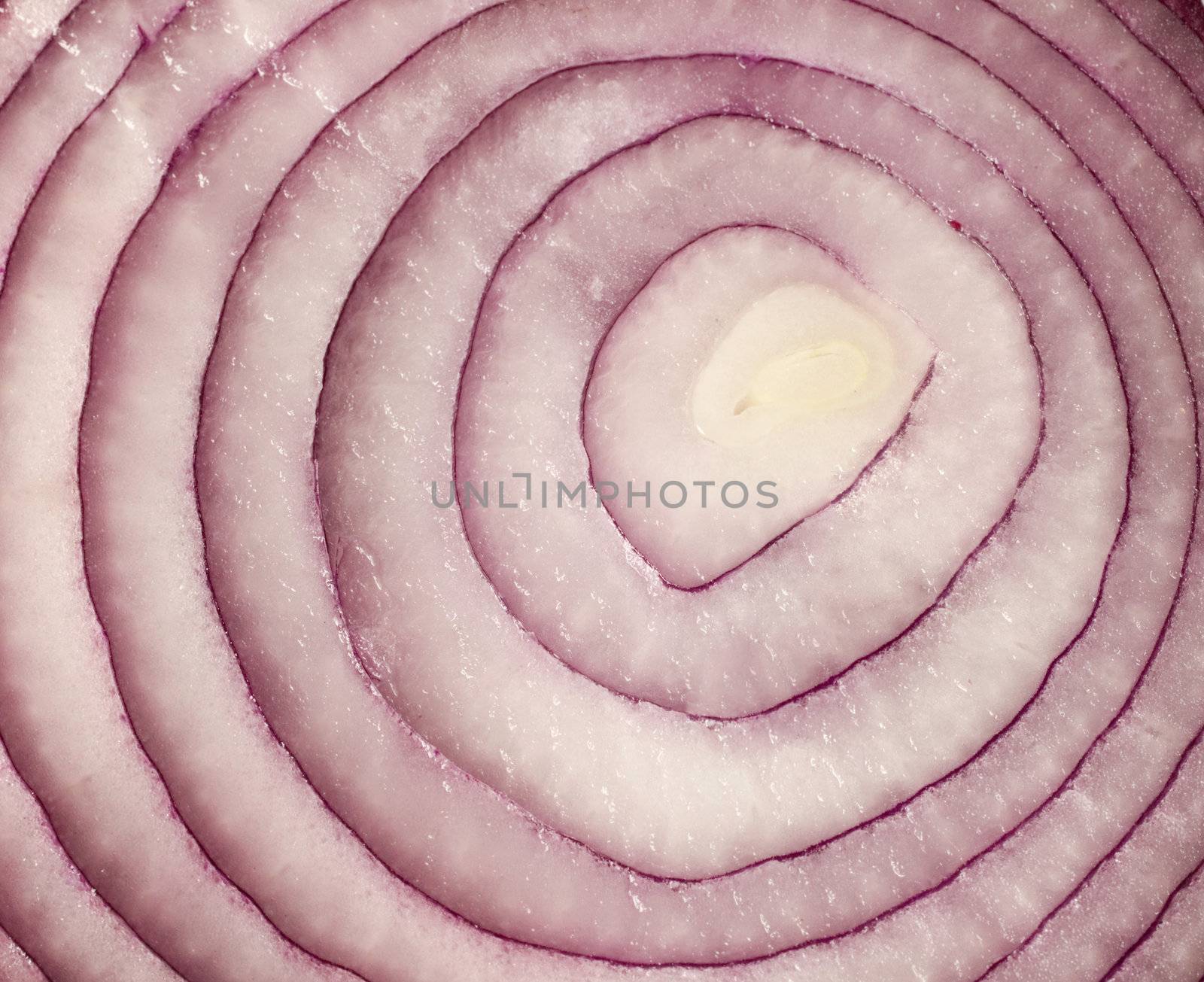 sliced red onion on white background