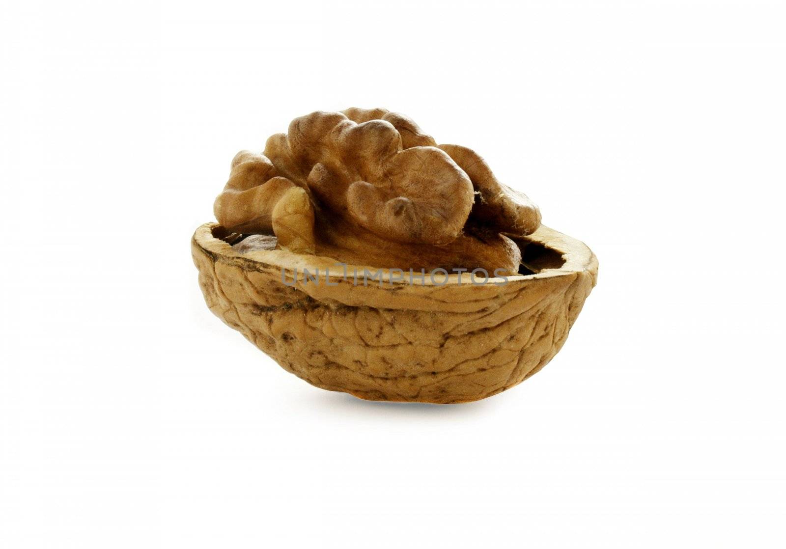 Close up of fresh walnut against white background