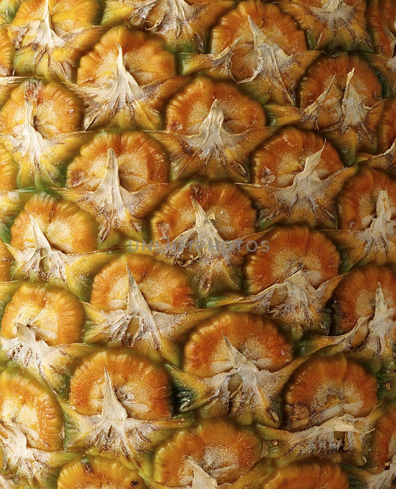Detail pineapple close-up by ozaiachin