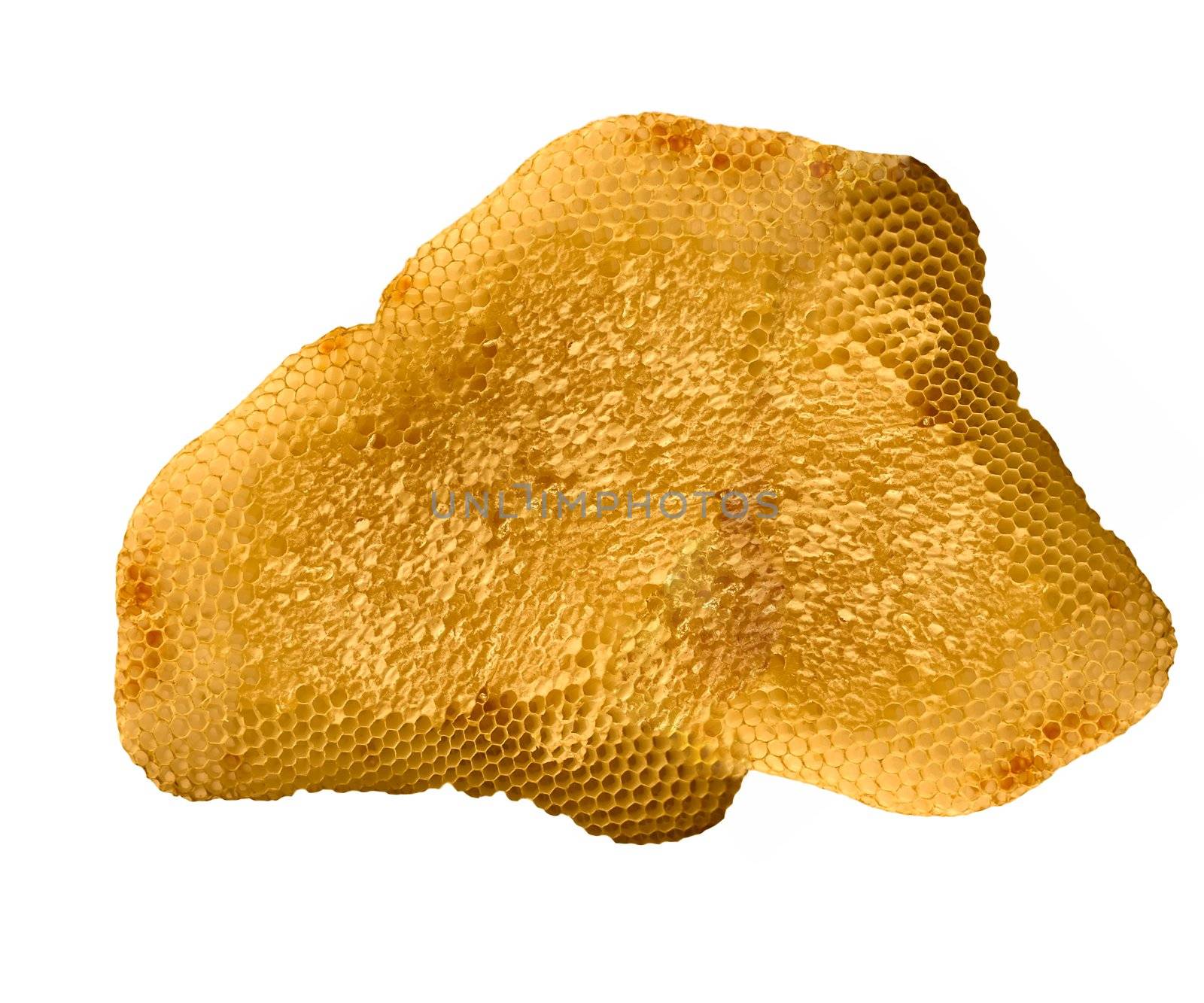 Honeycomb close up by ozaiachin