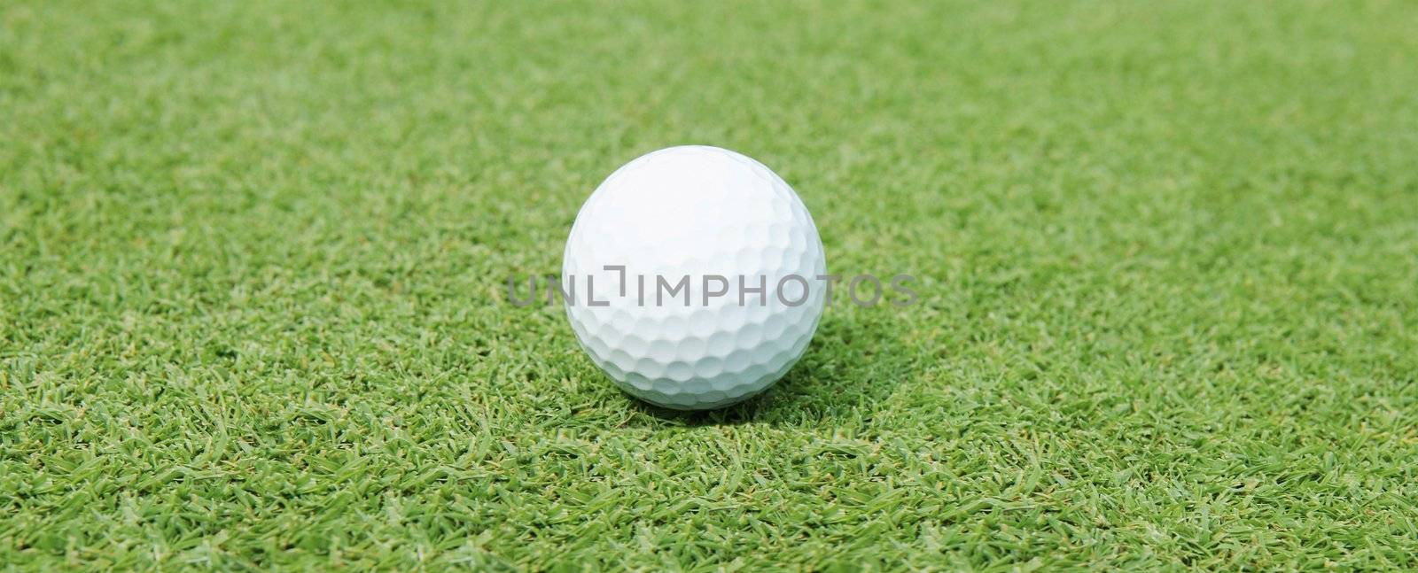 Golf Ball on the Green Grass by ozaiachin