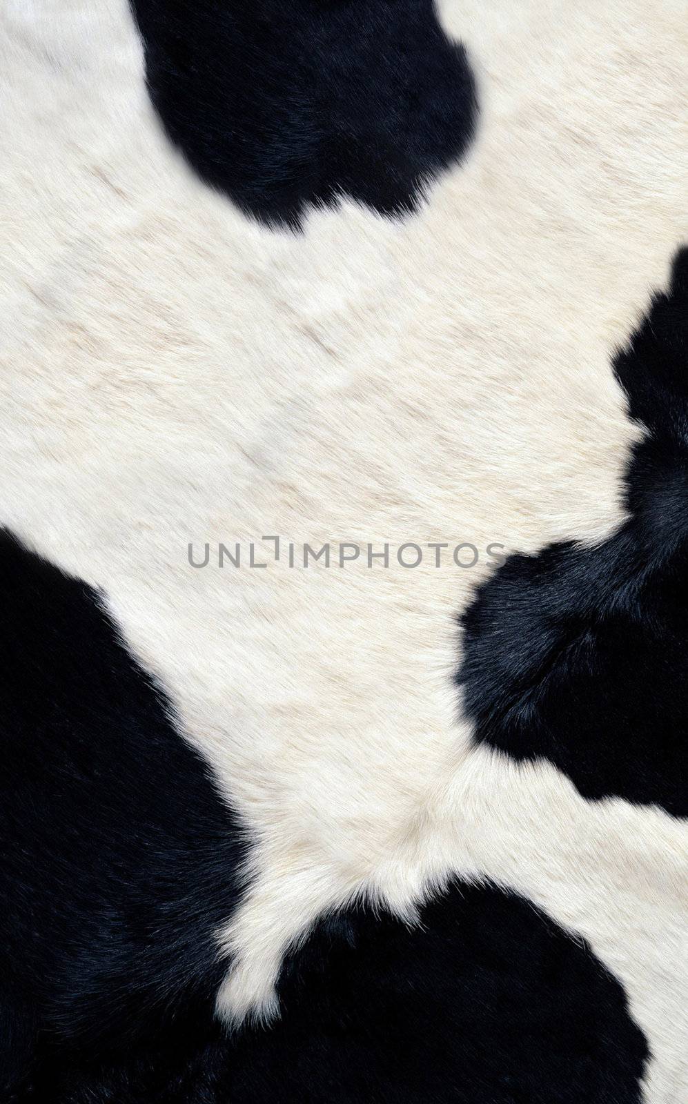 Cow skin texture by ozaiachin