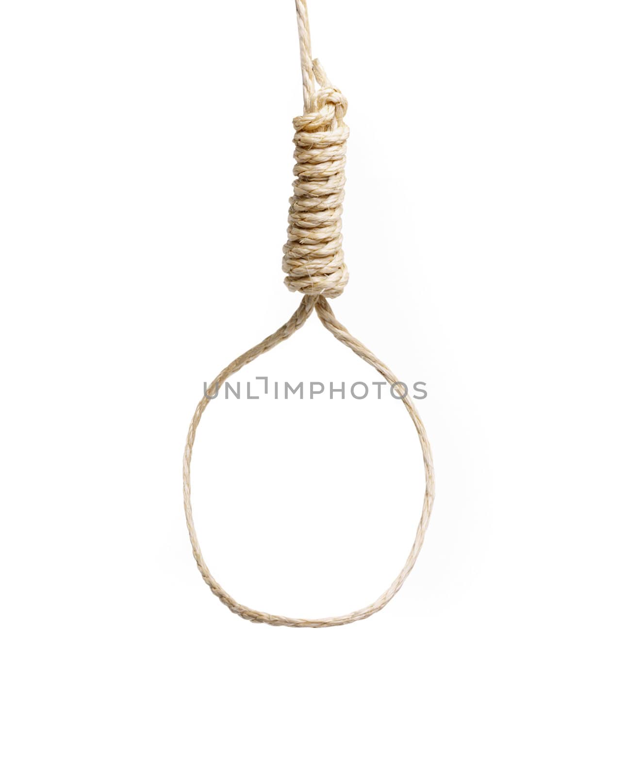 noose isolated on white by ozaiachin