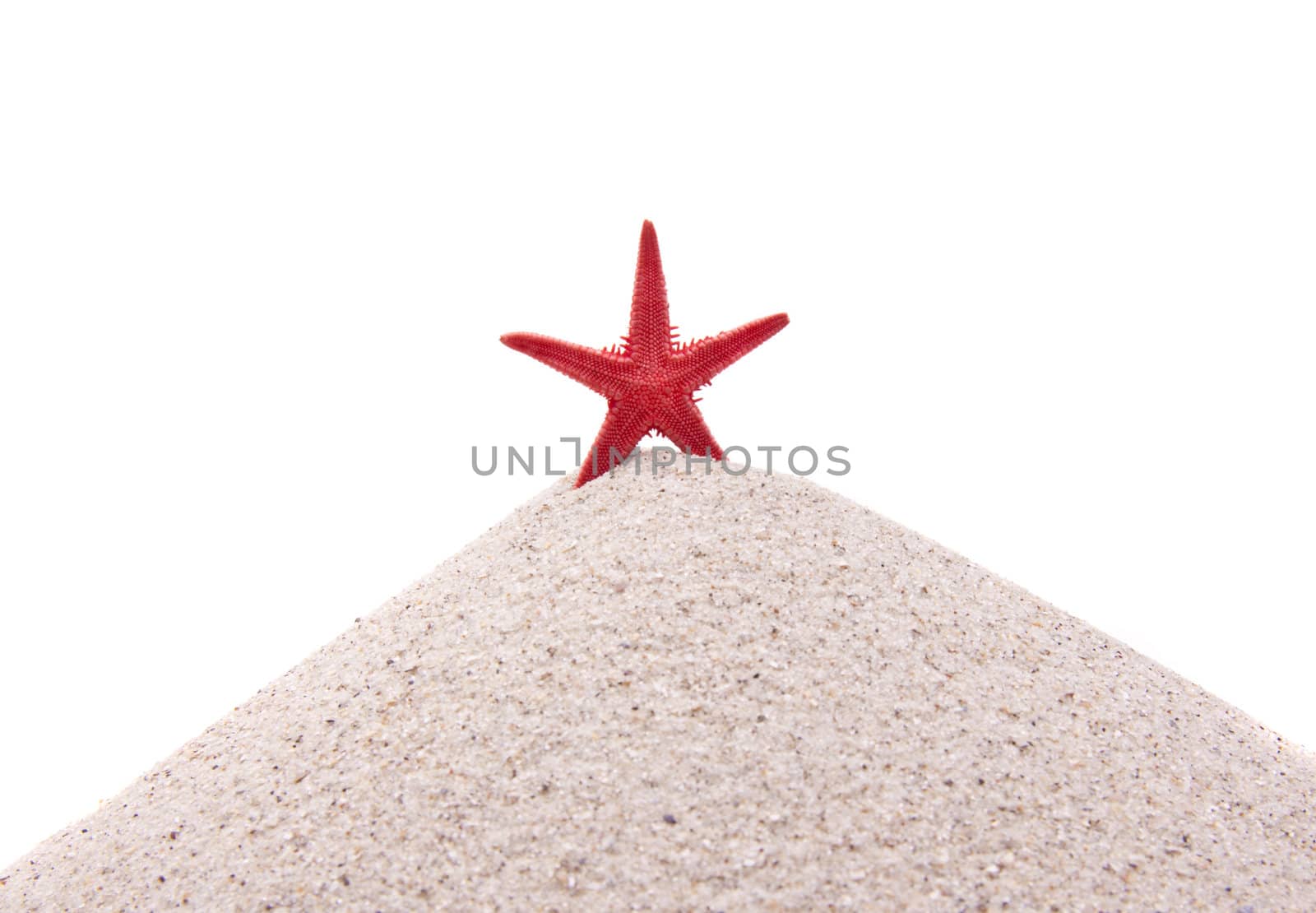 Red Sea star on the white sand beach