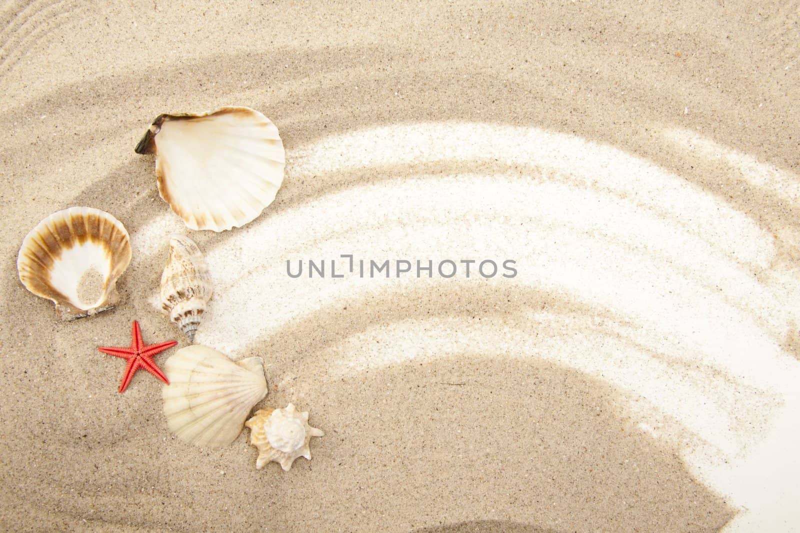 Set of Seashells by ozaiachin