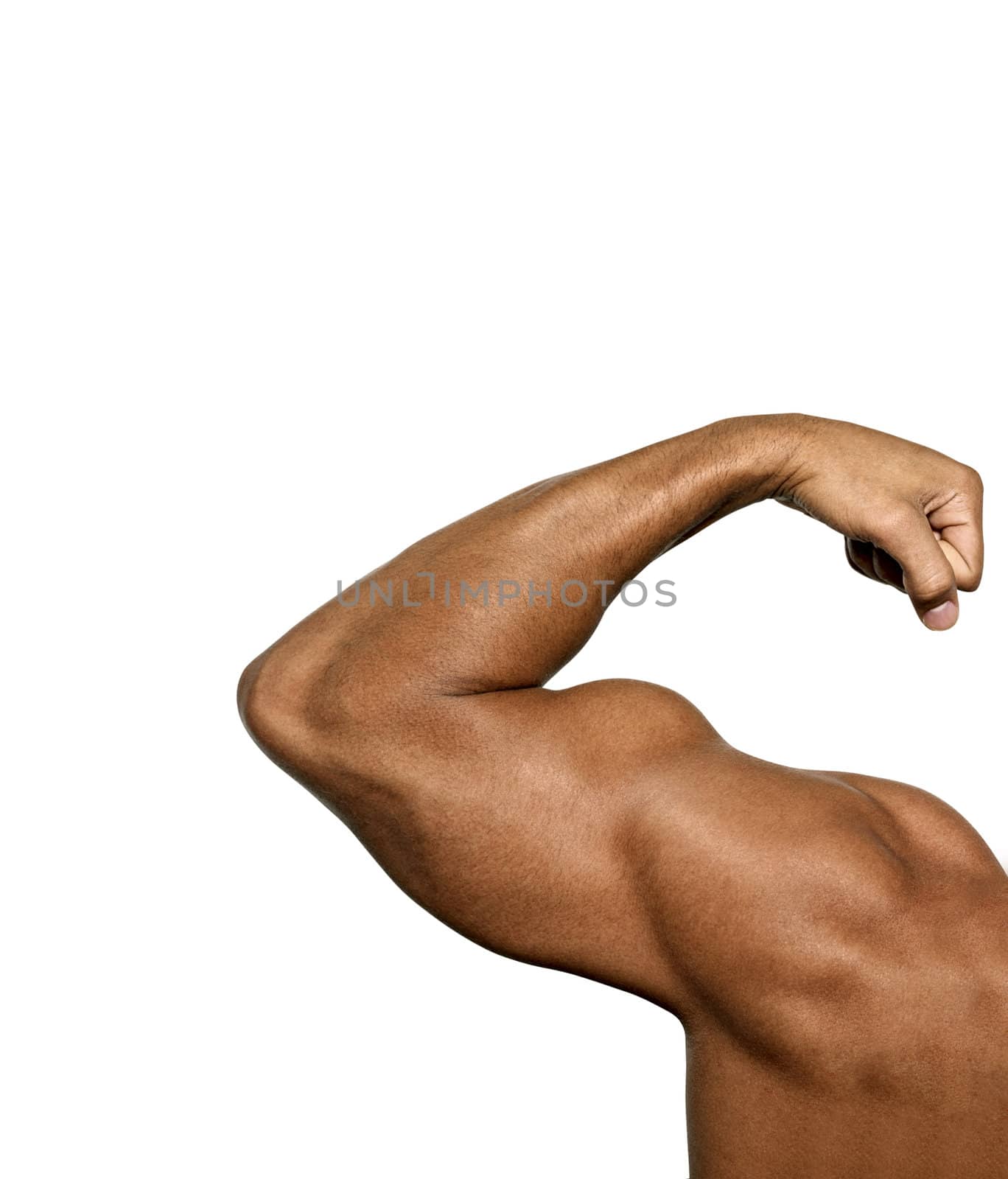 strong biceps on a white background