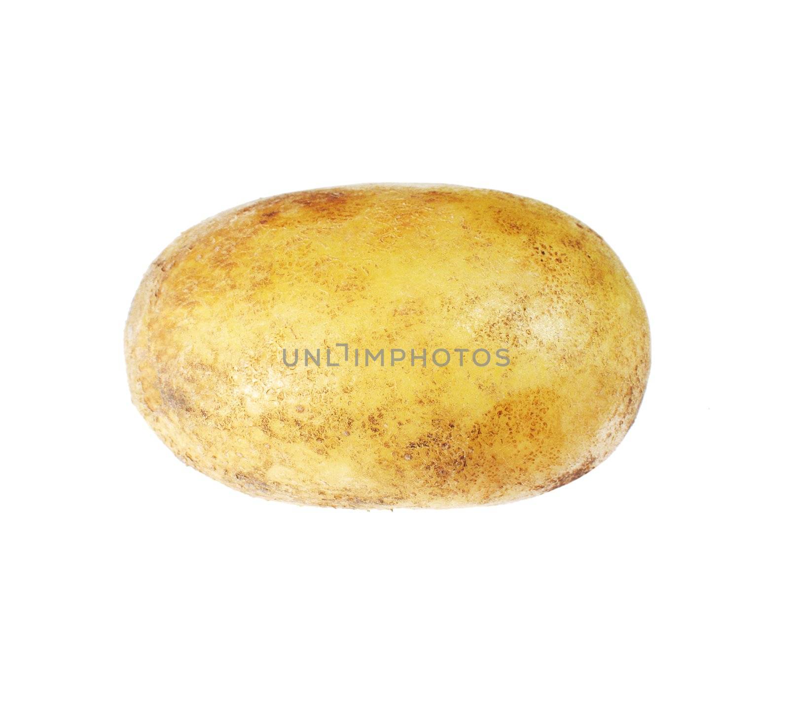 potato isolated on white background close up by ozaiachin