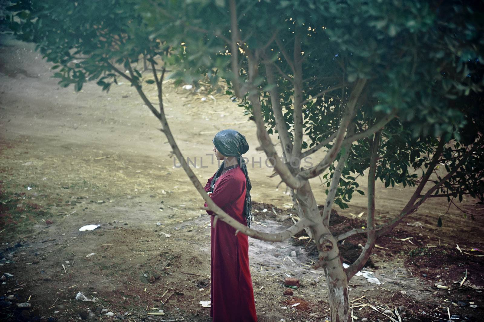 arab girl standing under the tree by jackq