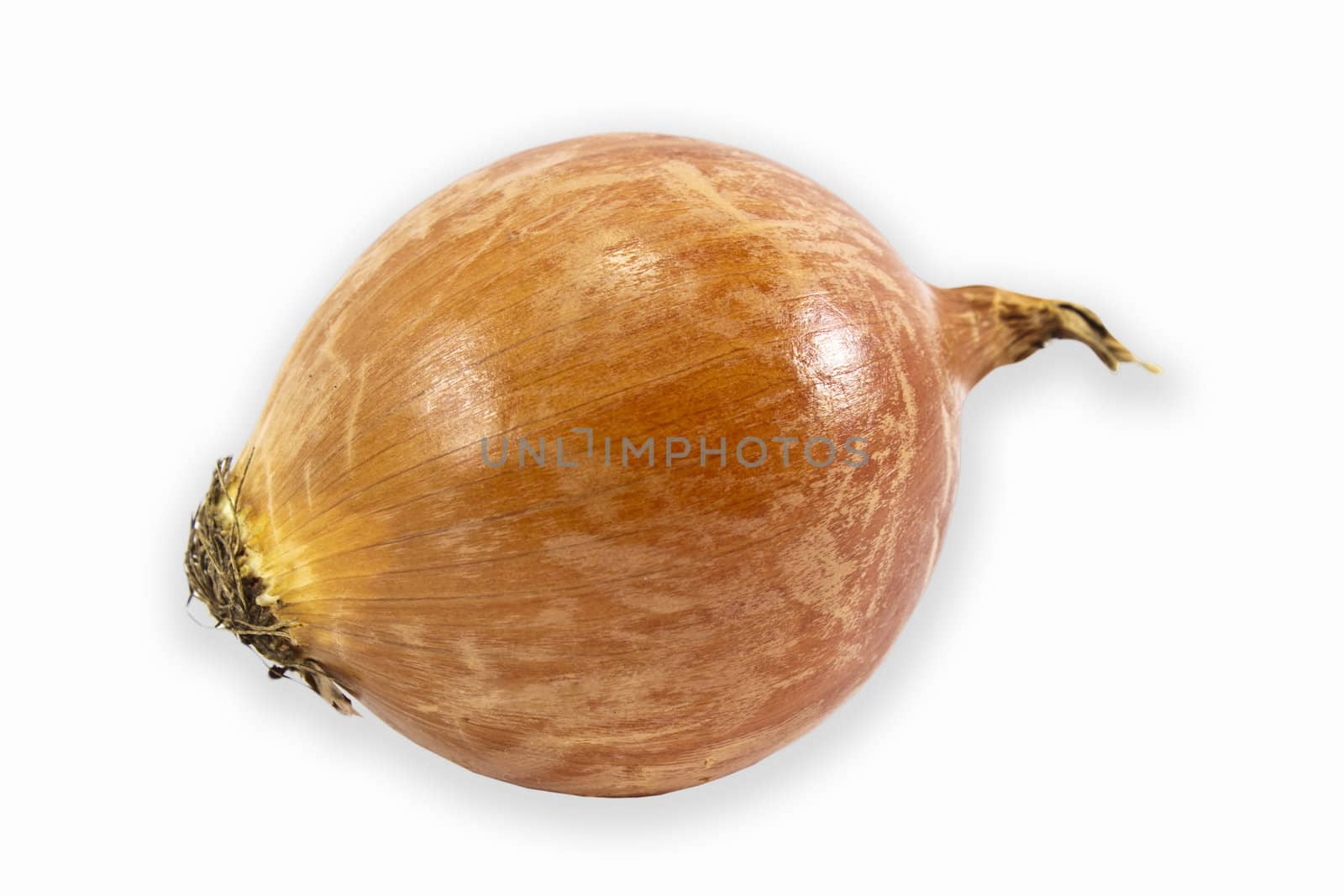 onion on a white background by aziatik13