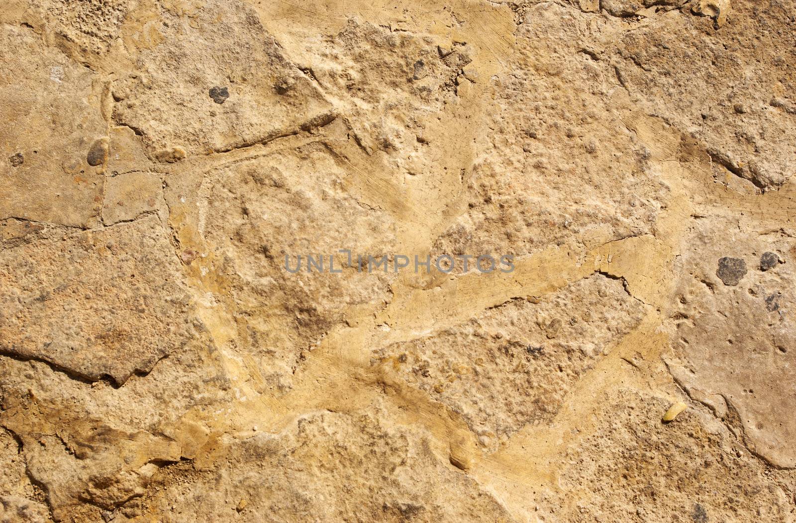 Texture concrete wall in grunge style for background