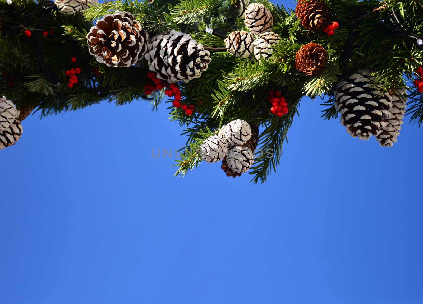 Christmas wreath and blue sky by artofphoto