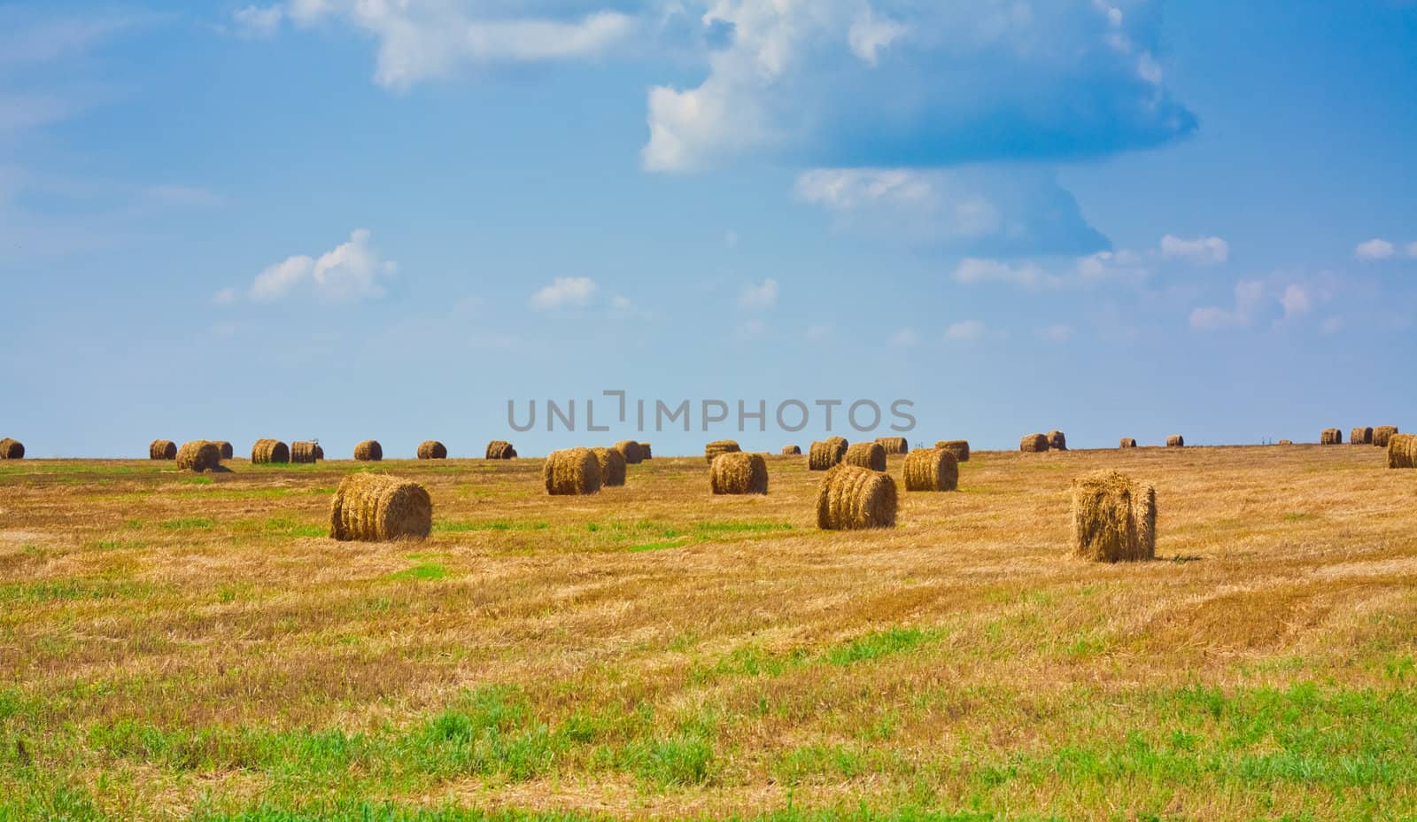 Hay bale in a field under a blue sky by ryhor