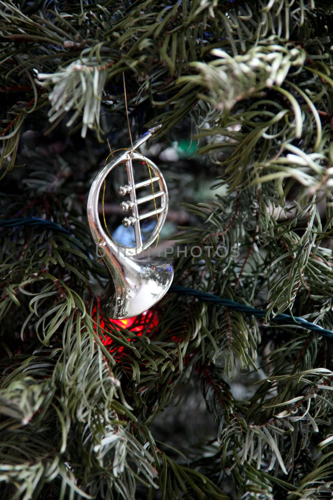 Christmas tree. by oscarcwilliams