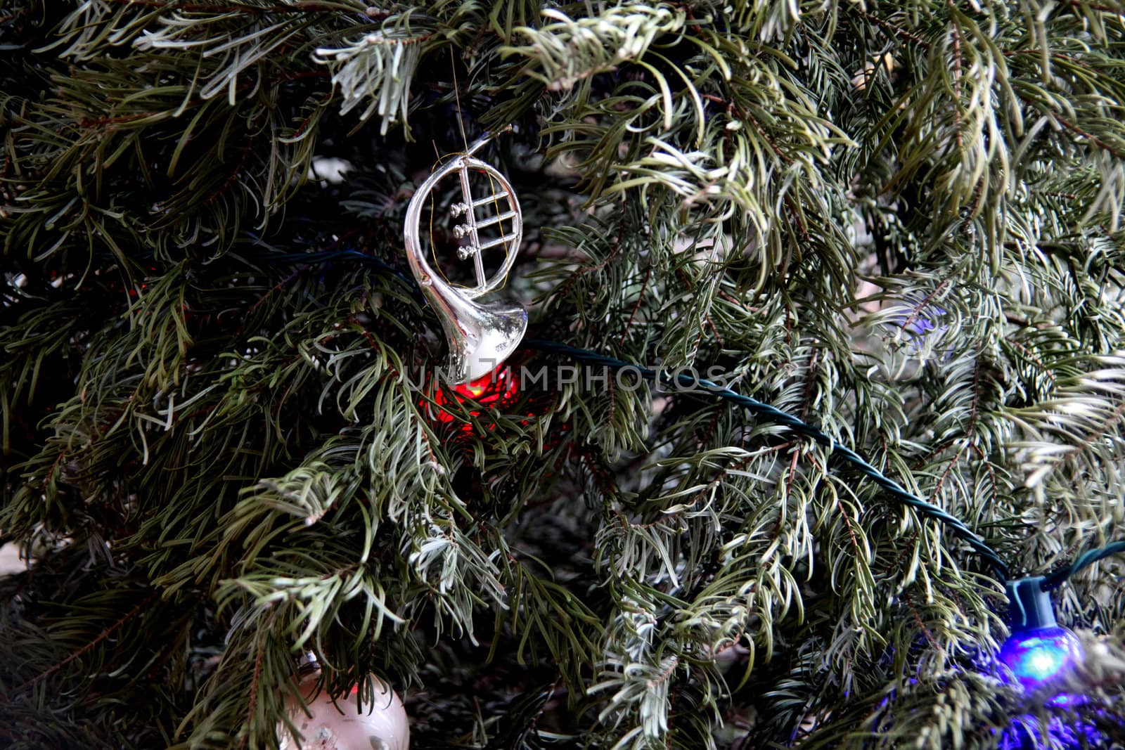 Christmas tree. by oscarcwilliams