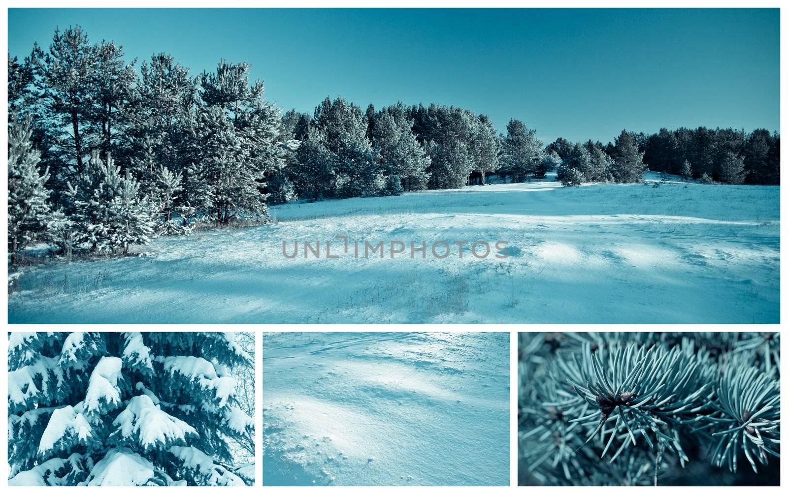 Landscape: forest in winter, a set of high resolution images