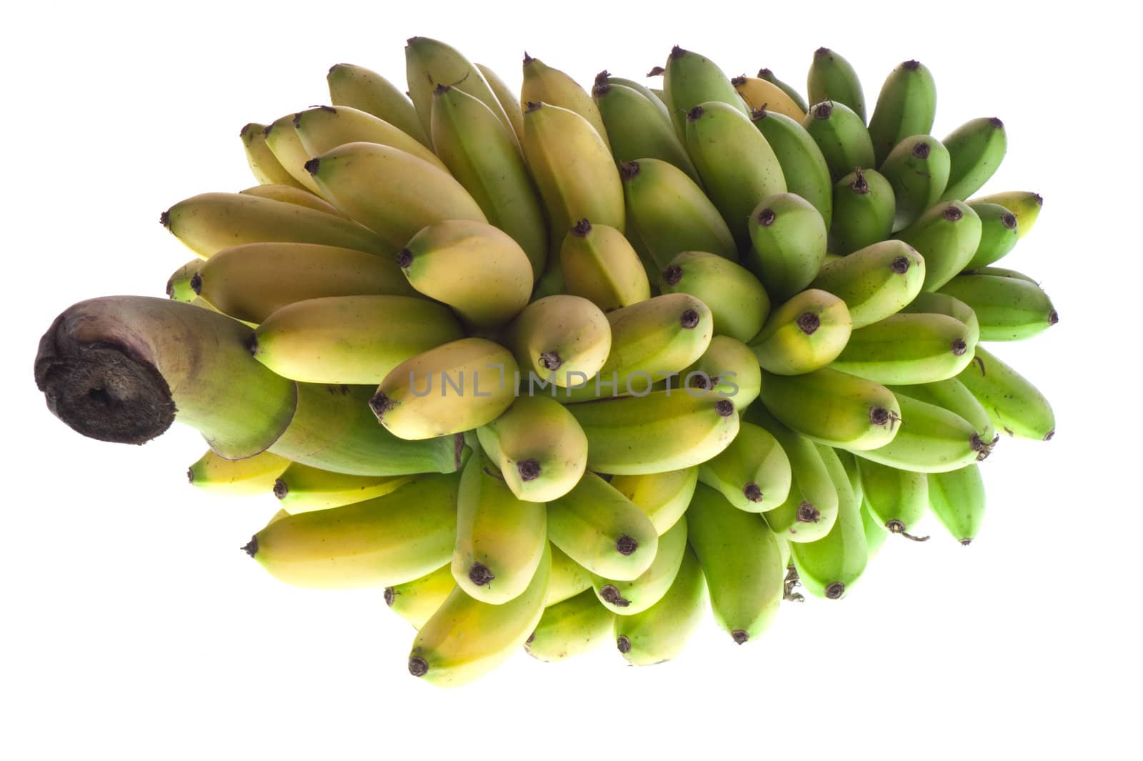 a bunch of bananas on white background