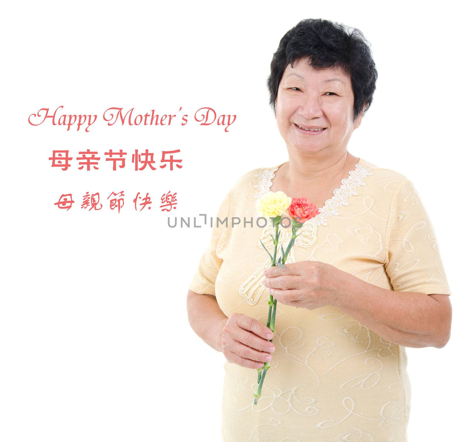 Happy mother's day concept. Asian senior mother holding carnation flowers. Characters in Chinese writing means happy mothers day