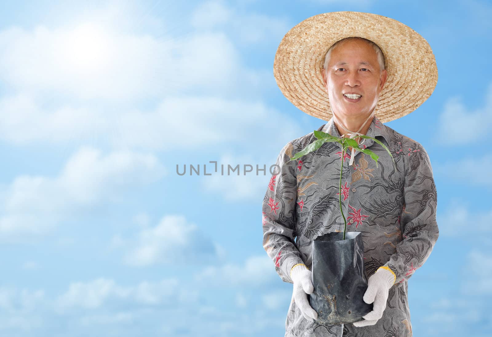 Asian Chinese farmer holding a young plant under hot summer sun