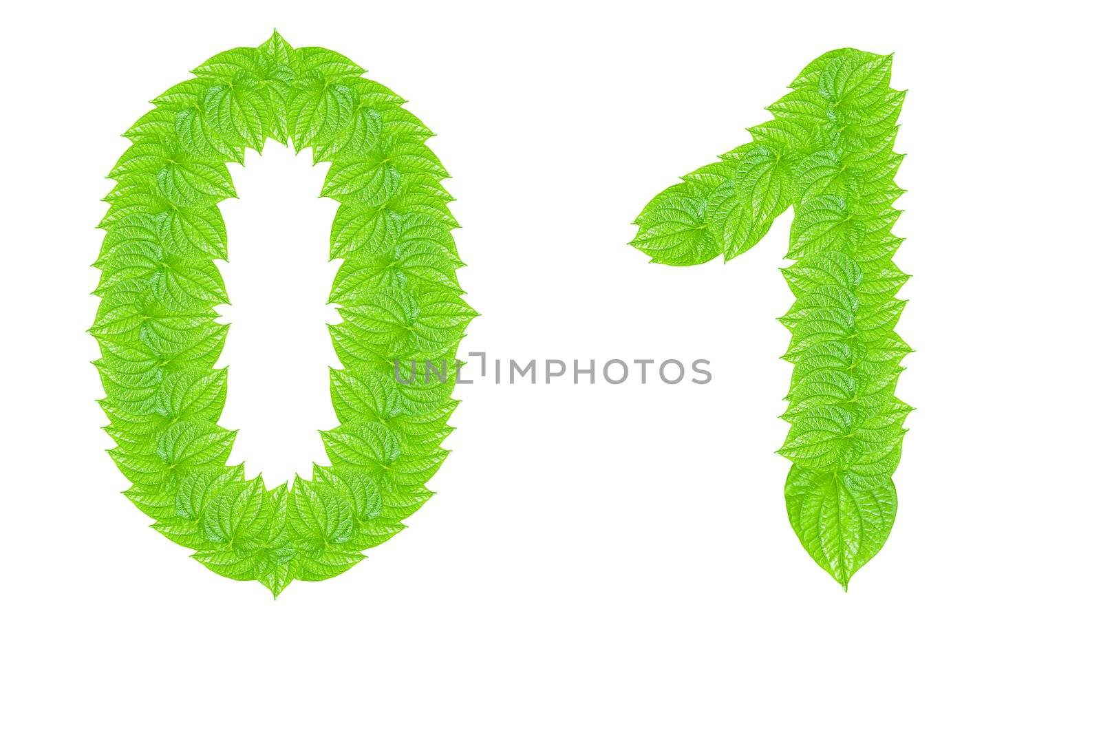 Number made from green leafs with number 0 to 1