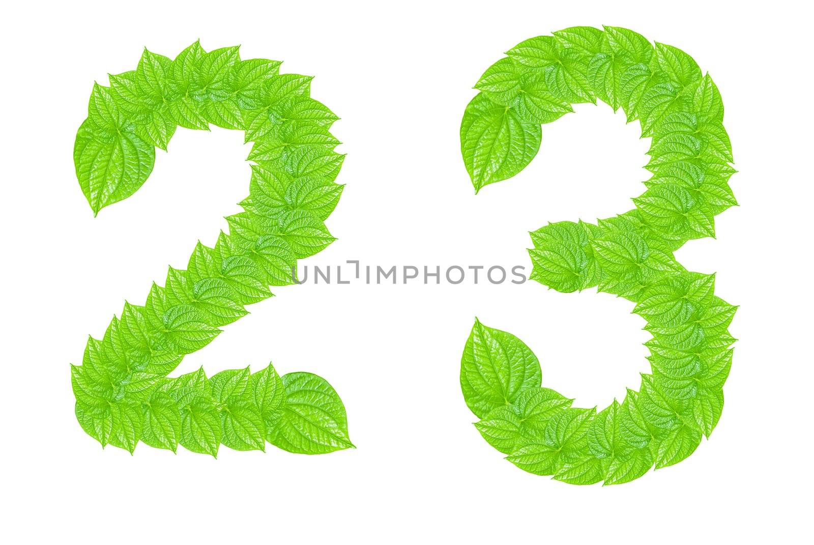 Number made from green leafs with number 2 to 3