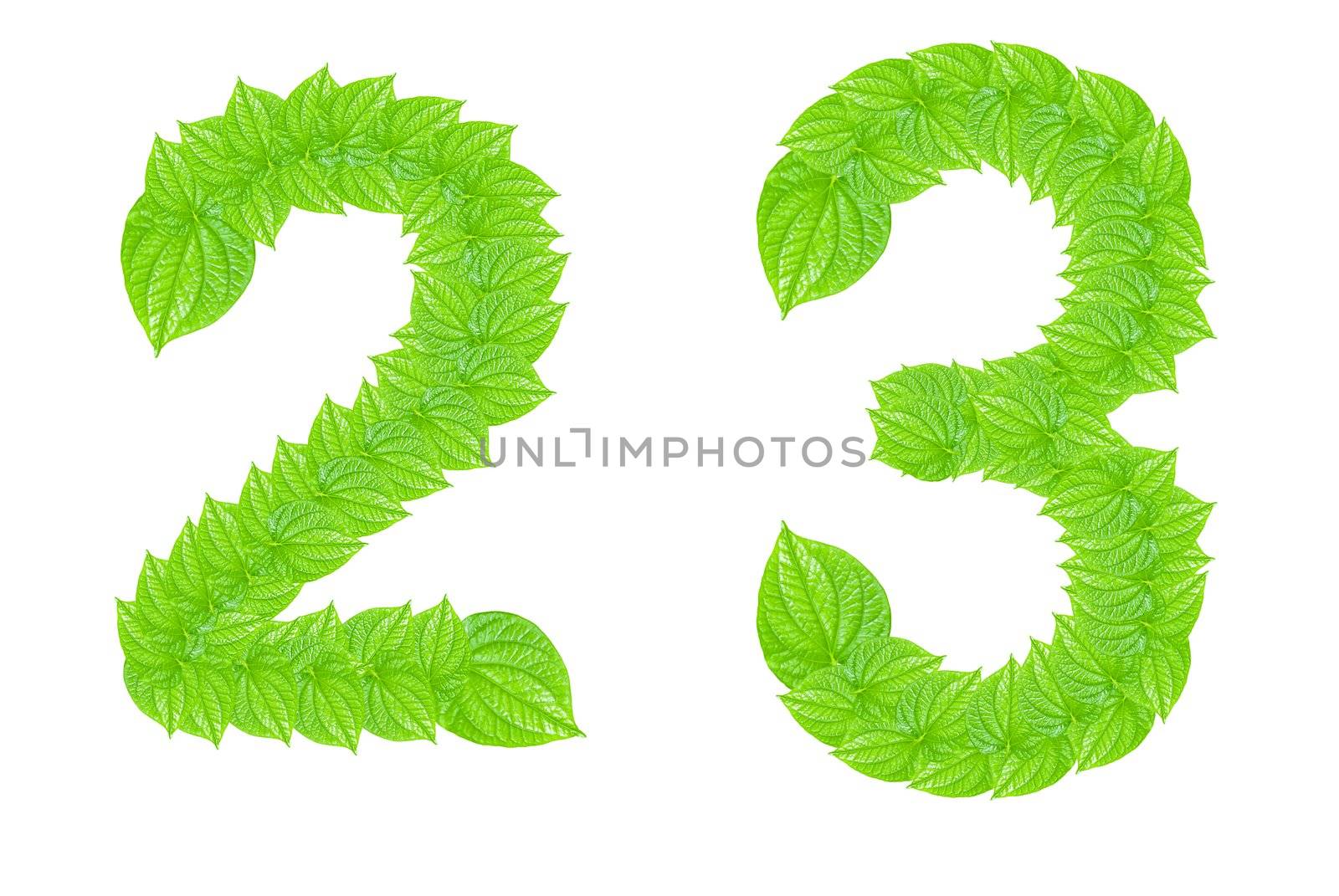 Number sign made from green leafs by sasilsolutions