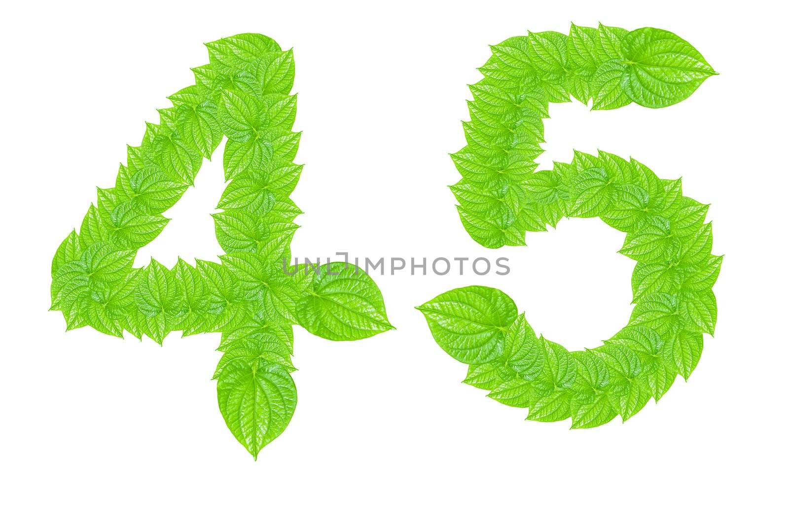Number sign made from green leafs by sasilsolutions