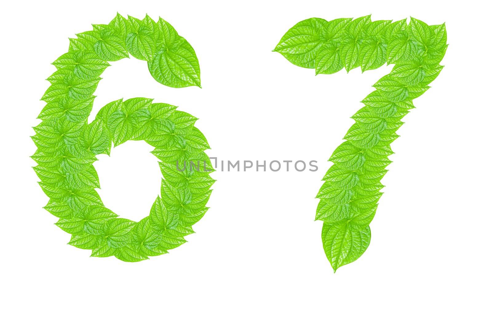 Number made from green leafs with number 6 to 7