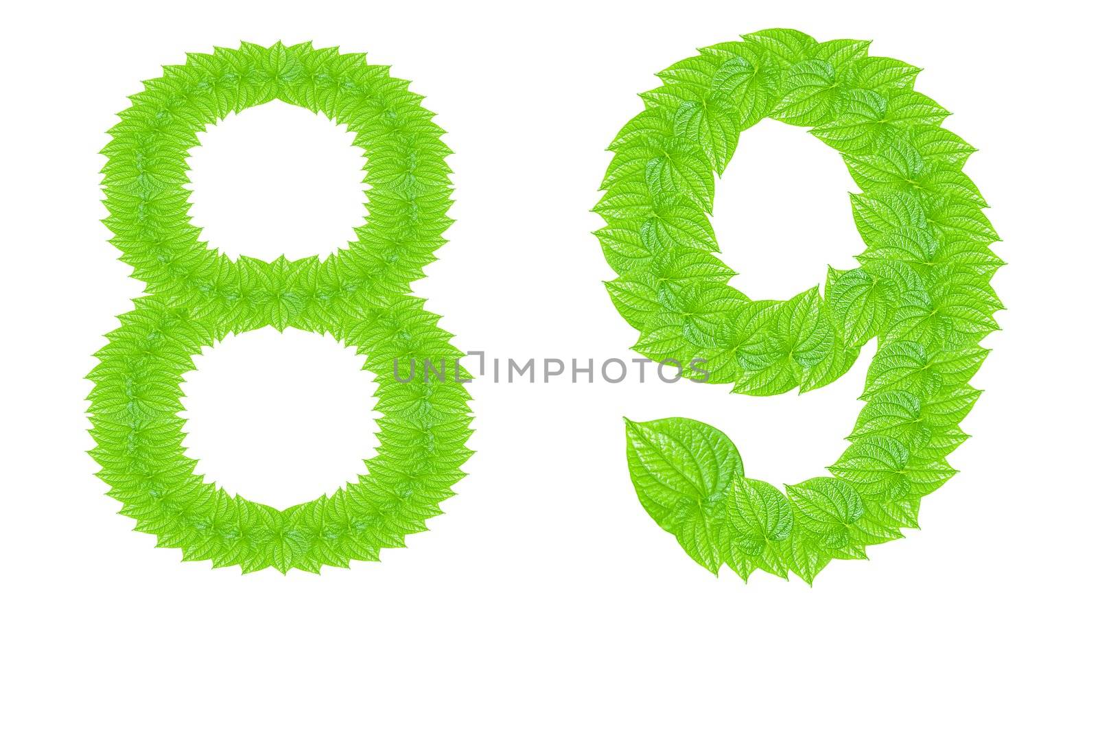 Number made from green leafs with number 8 to 9