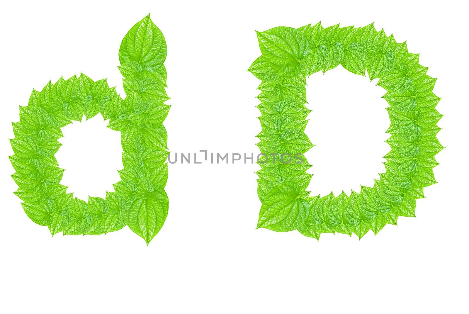 English alphabet made from green leafs by sasilsolutions