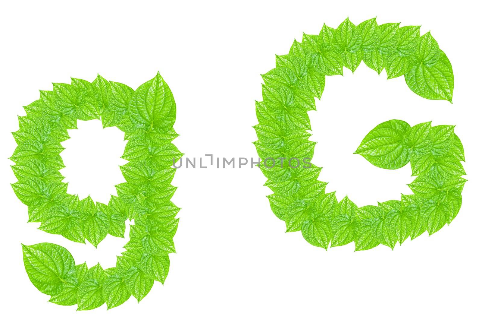 English alphabet made from green leafs by sasilsolutions