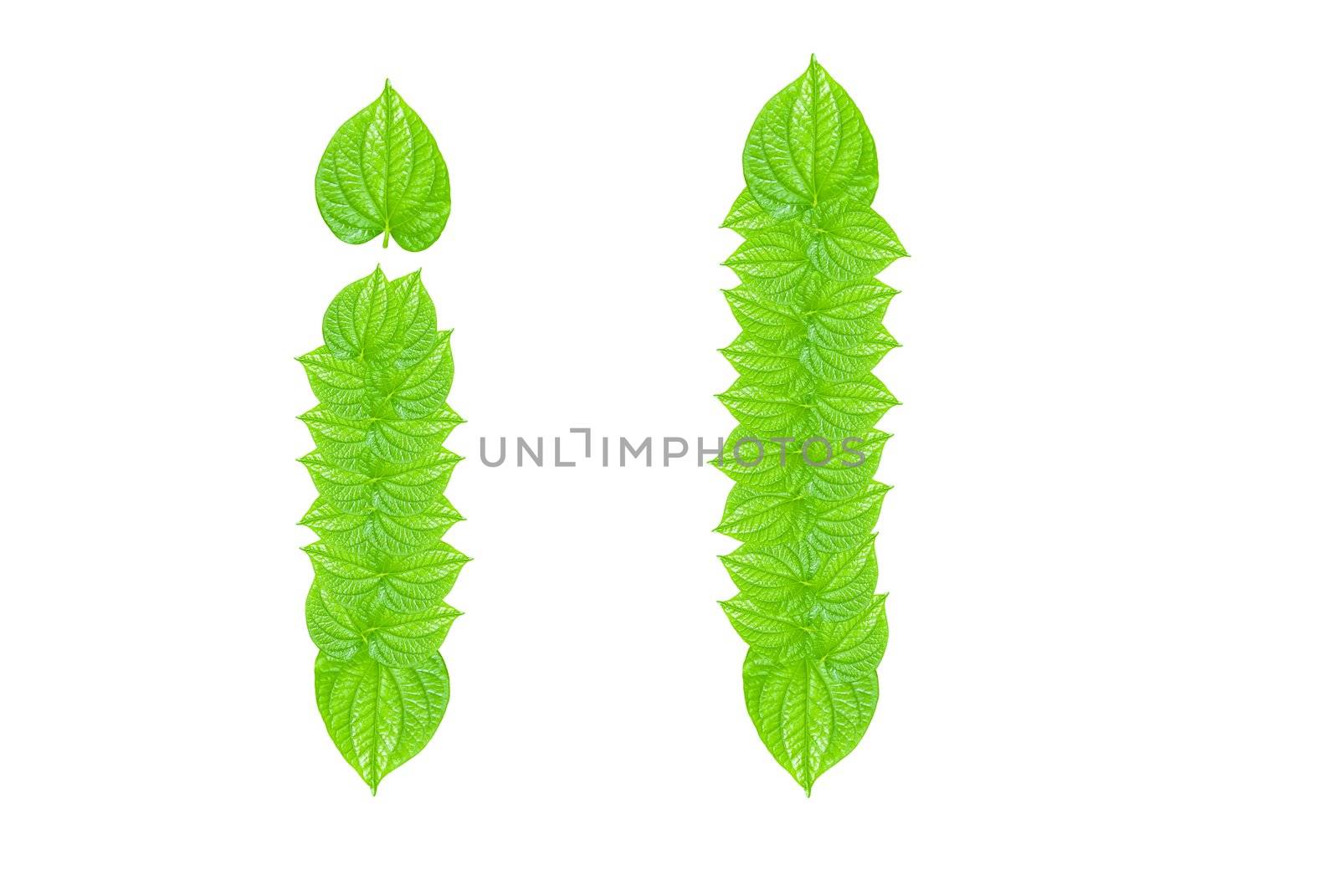 English alphabet made from green leafs with letter I in small capital and large capital letter