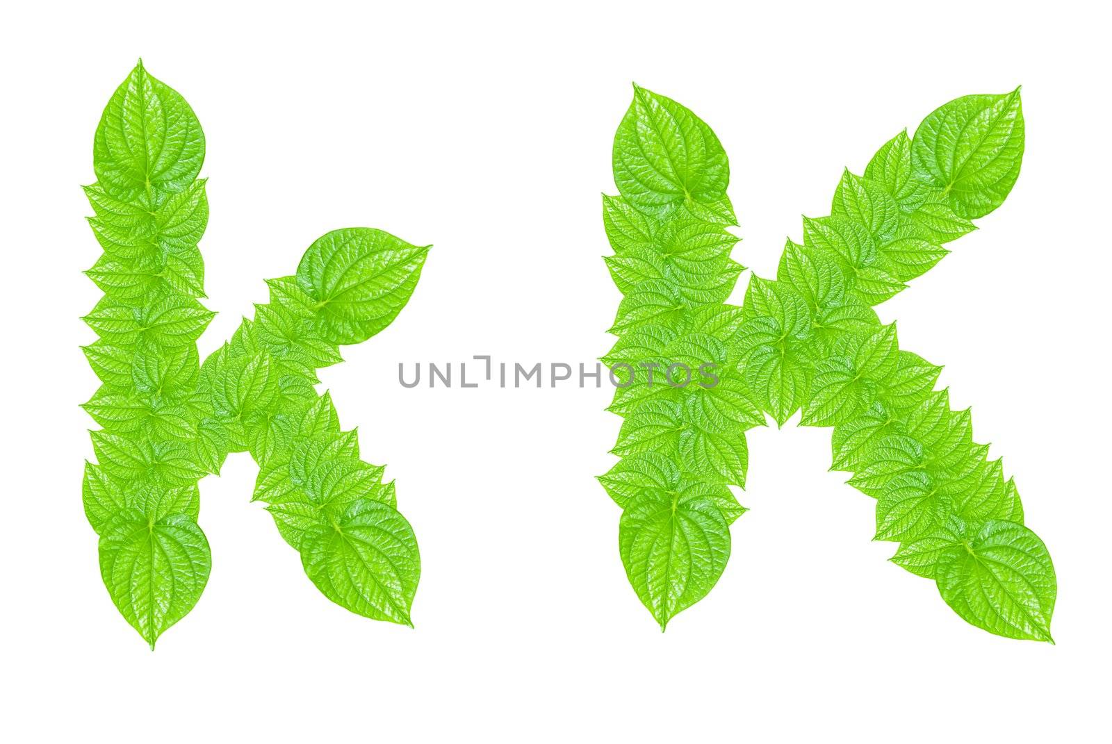 English alphabet made from green leafs with letter K in small capital and large capital letter