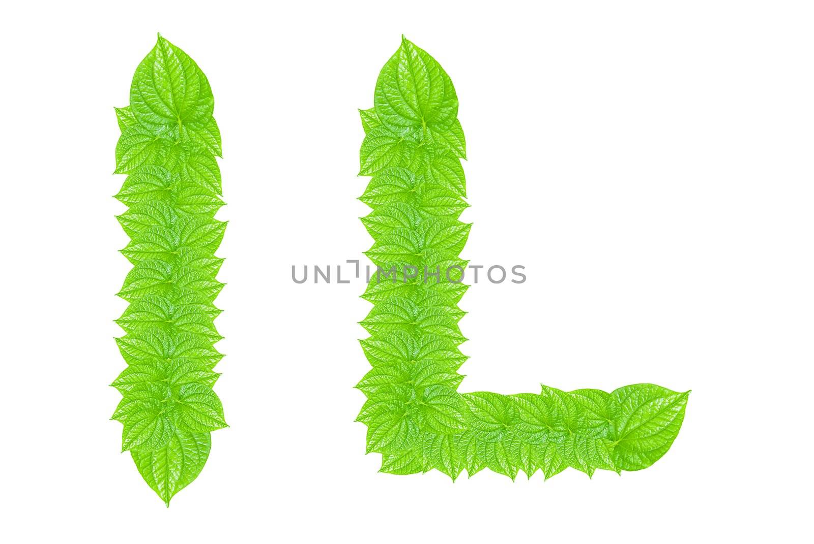 English alphabet made from green leafs with letter L in small capital and large capital letter