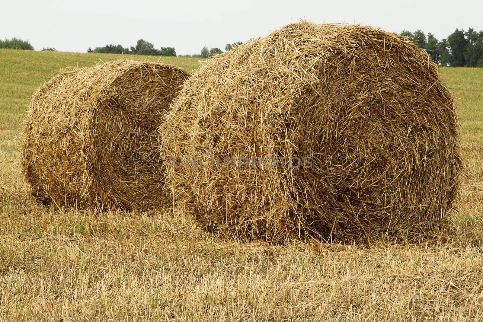 Two haystacks in the field