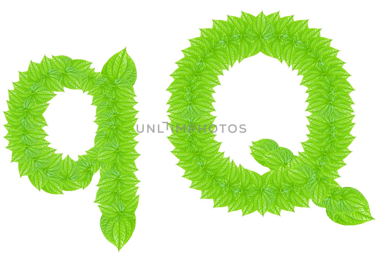 English alphabet made from green leafs with letter Q in small capital and large capital letter