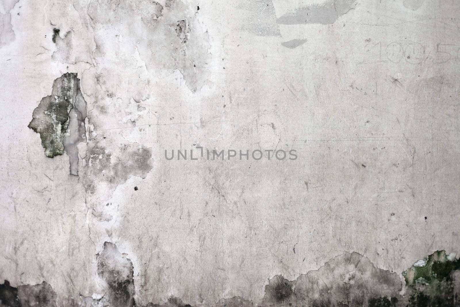 The Grunge cracked concrete wall for design