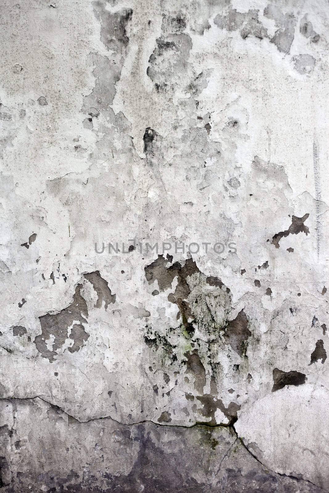 The Grunge cracked concrete wall for design
