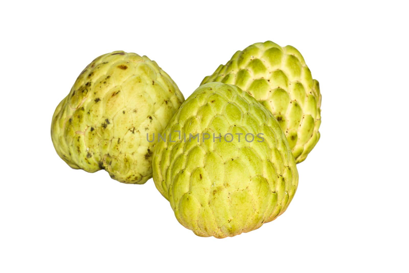 Custard-apple isolate on white background