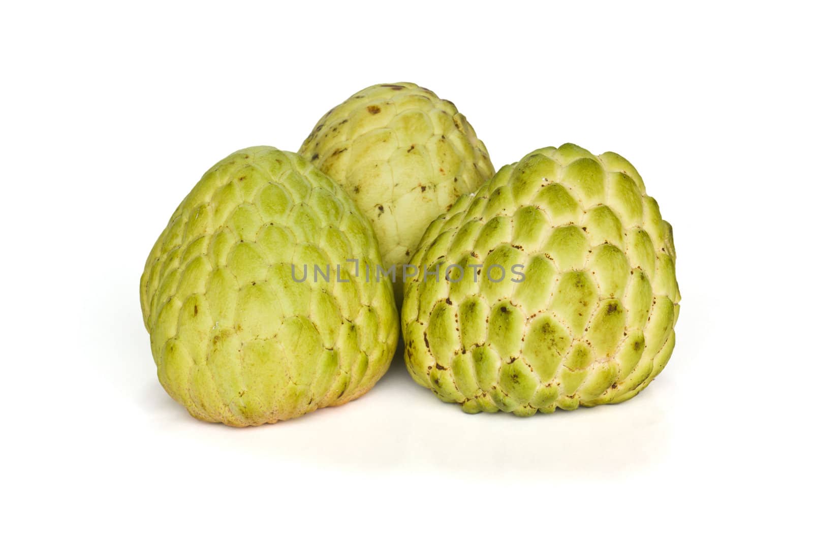 Tropical custard apple fruit by stoonn