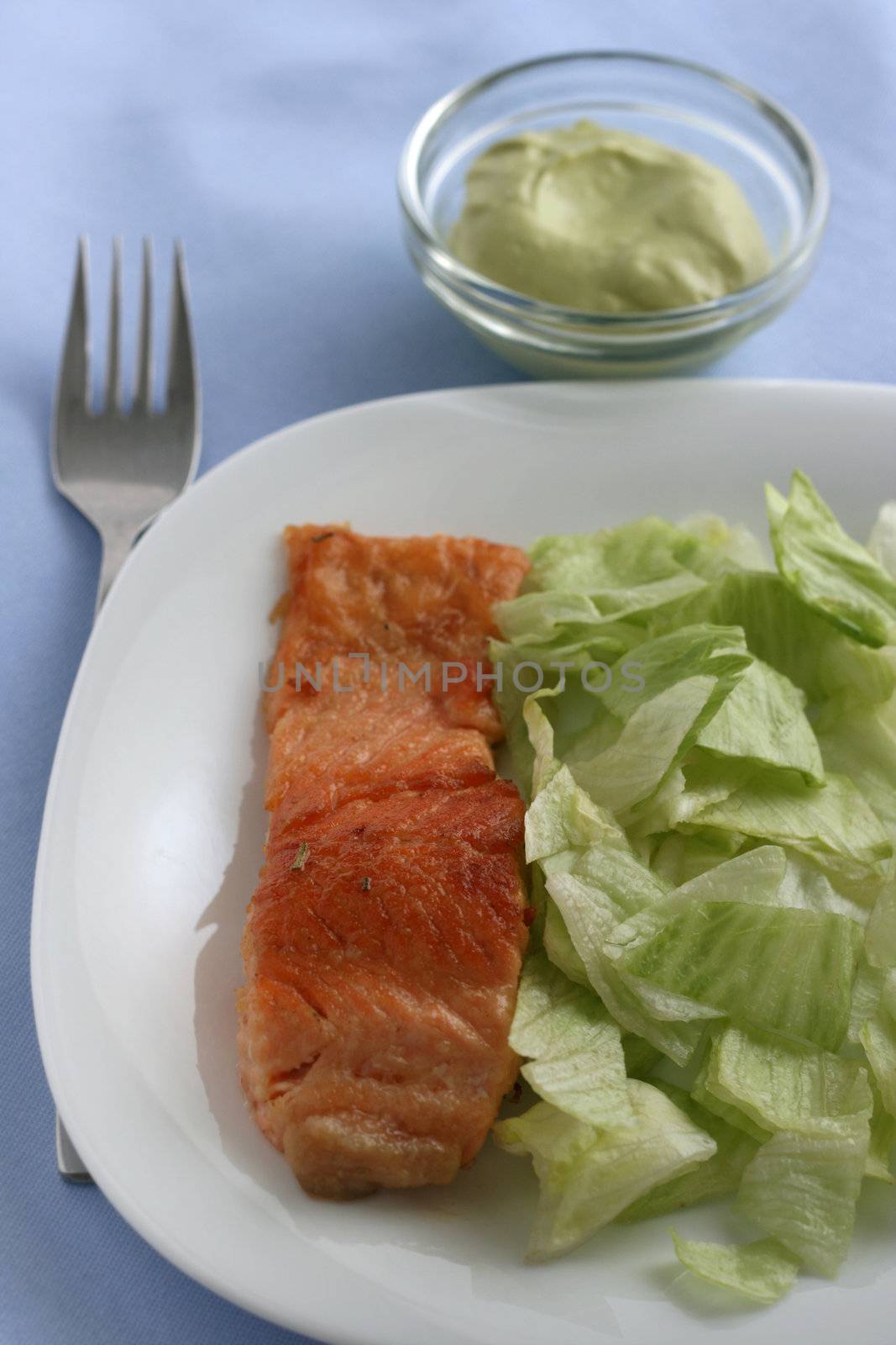 fried salmon by nataliamylova