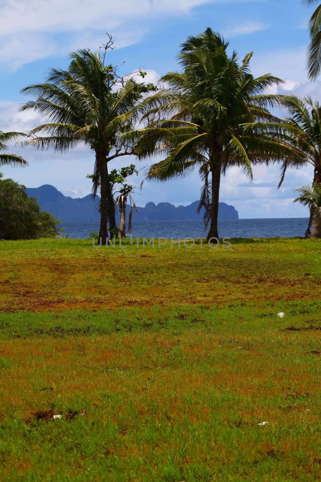 Philippines Coron and Malcapuya Island by mariusz_prusaczyk