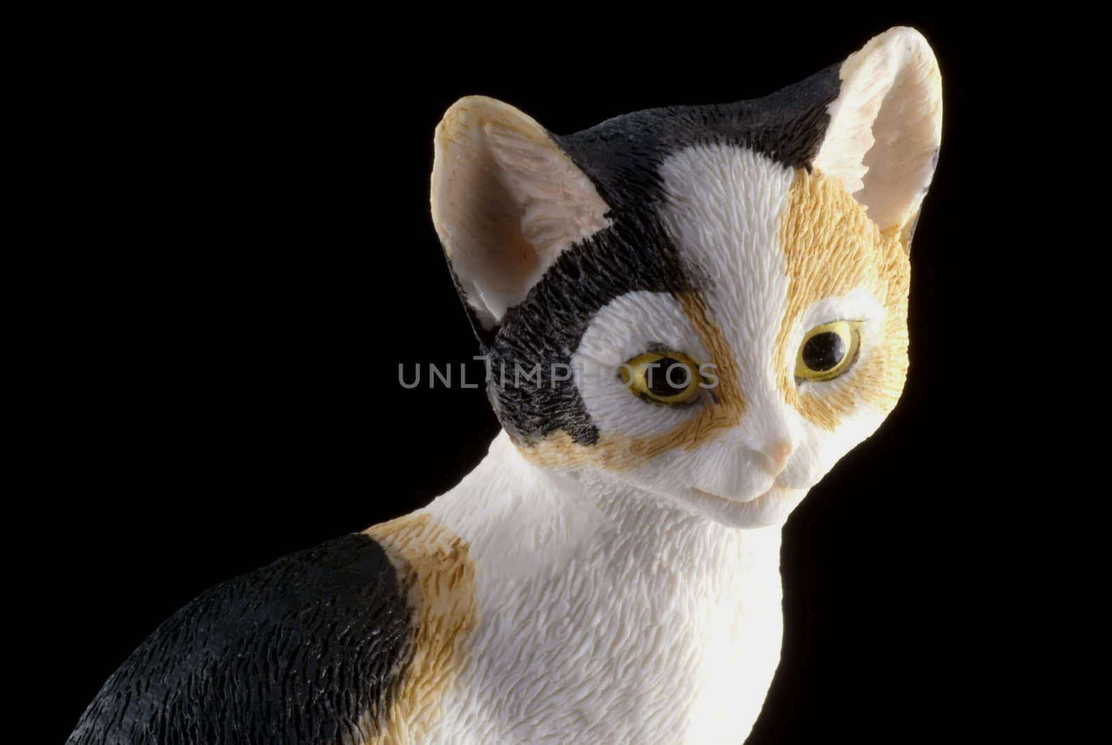 Cat statue isolated on a black background.