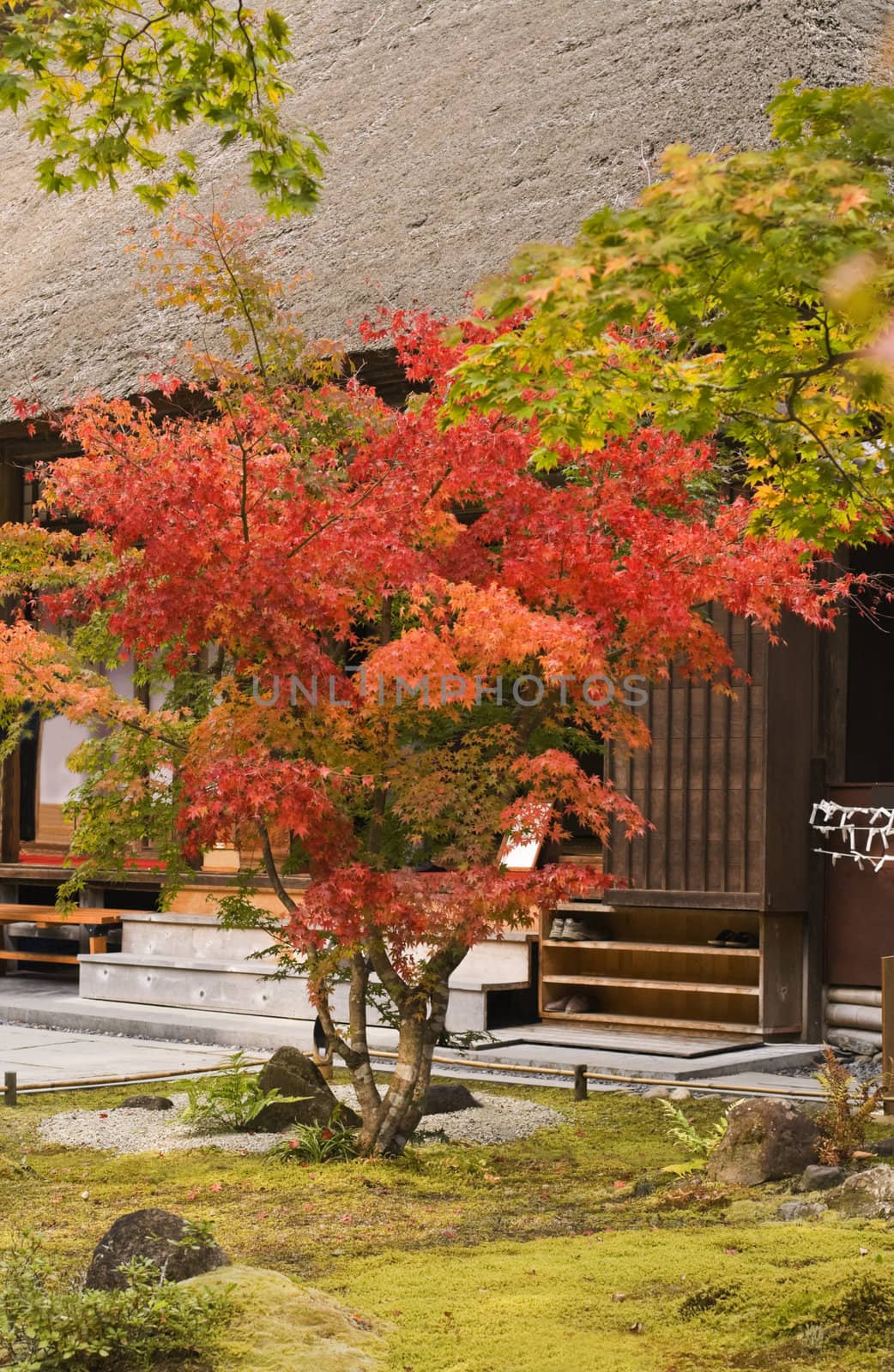 Colorful beautiful Japanese garden in autumn.Location:Matsushima,Japan.In fact this garden is a Japanese copy (in Japan) of the most famous gardens from Kyoto(Ryoanji,Enriakuji).