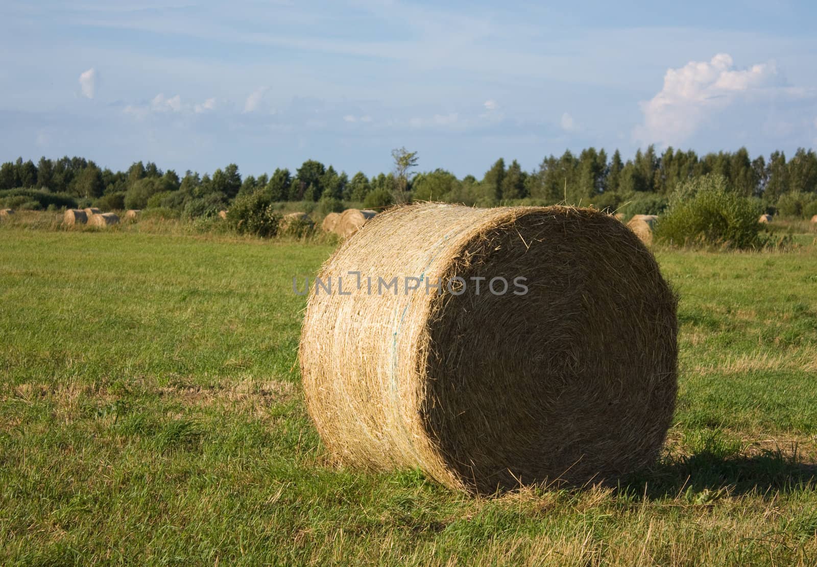 mow hay