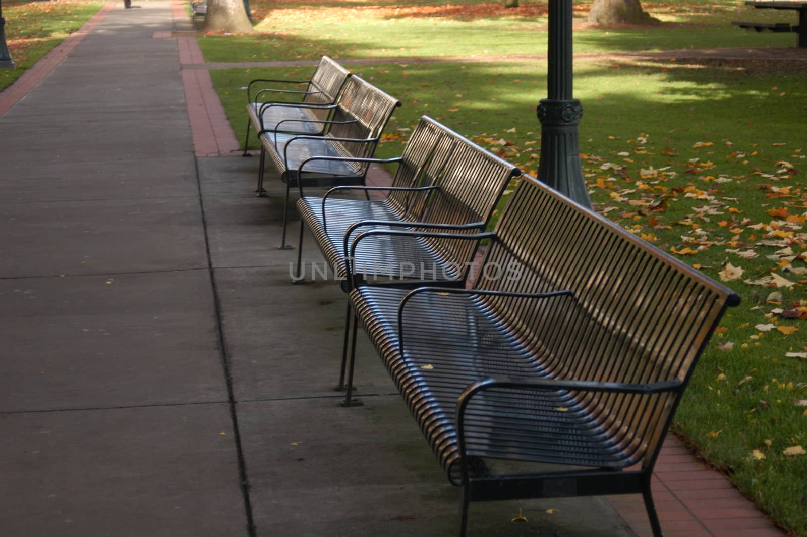 park bench in Portland Oregon ready for people needing a seat