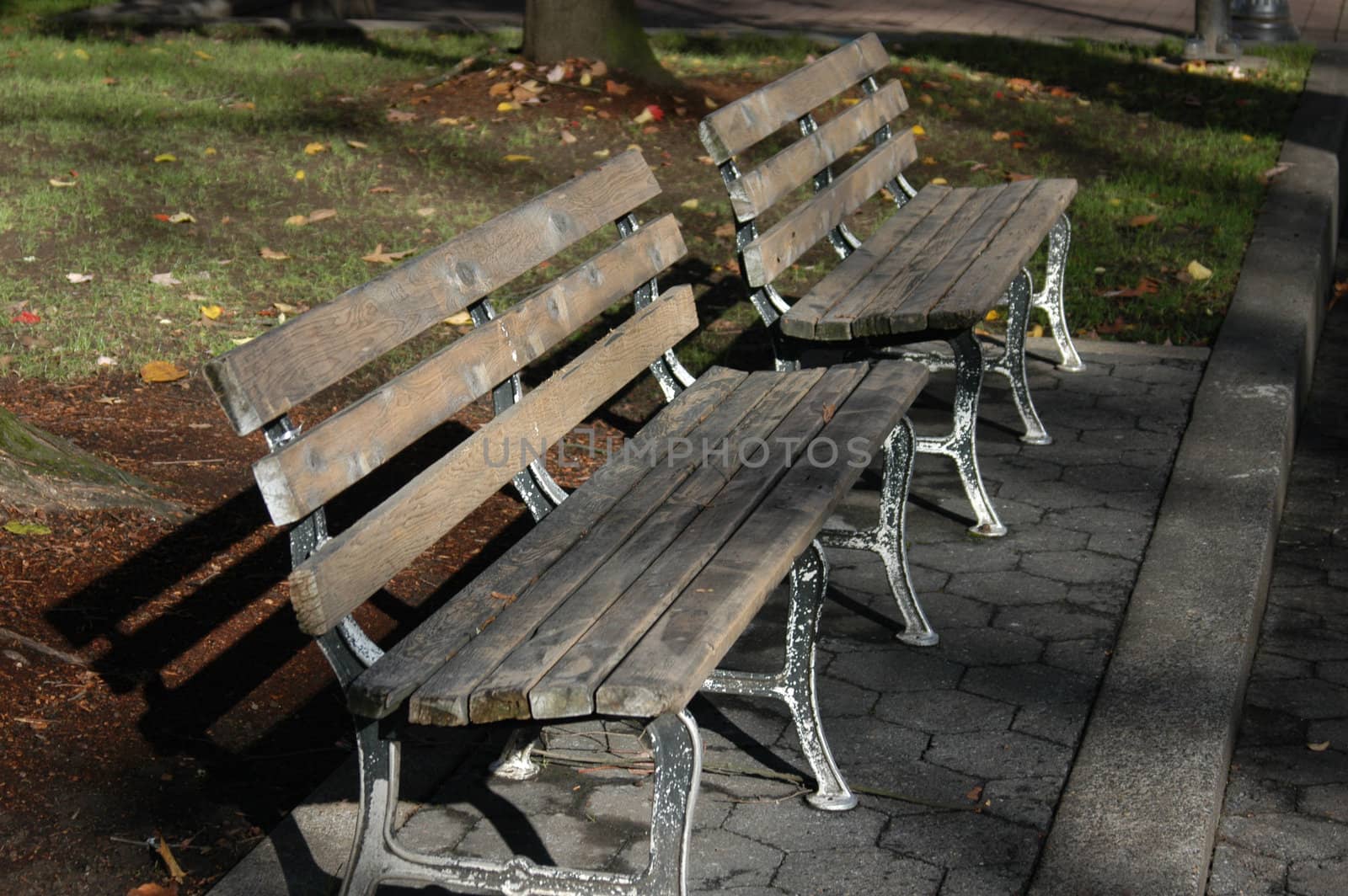 Park benches by northwoodsphoto