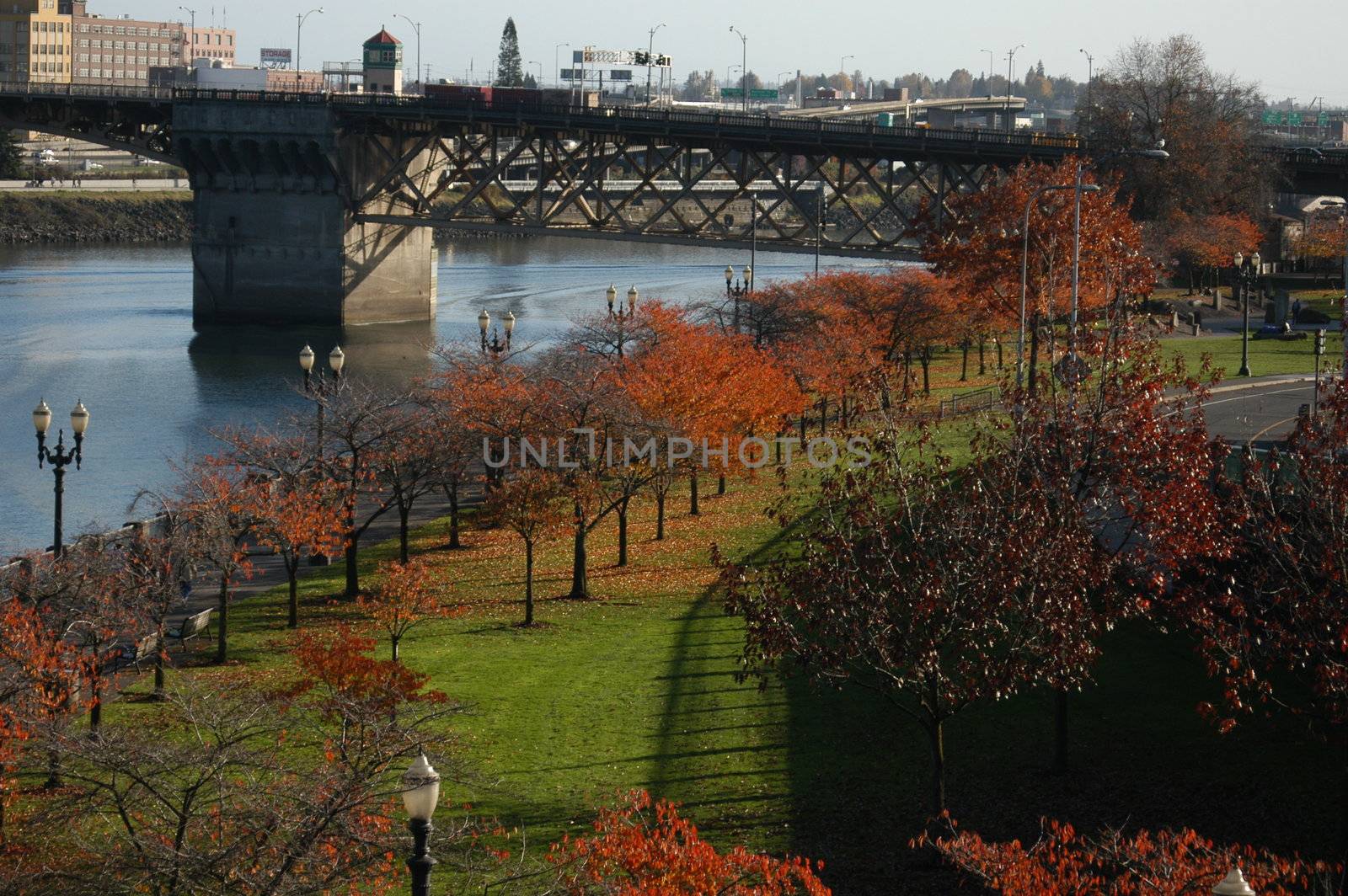 At the park in Portland by northwoodsphoto