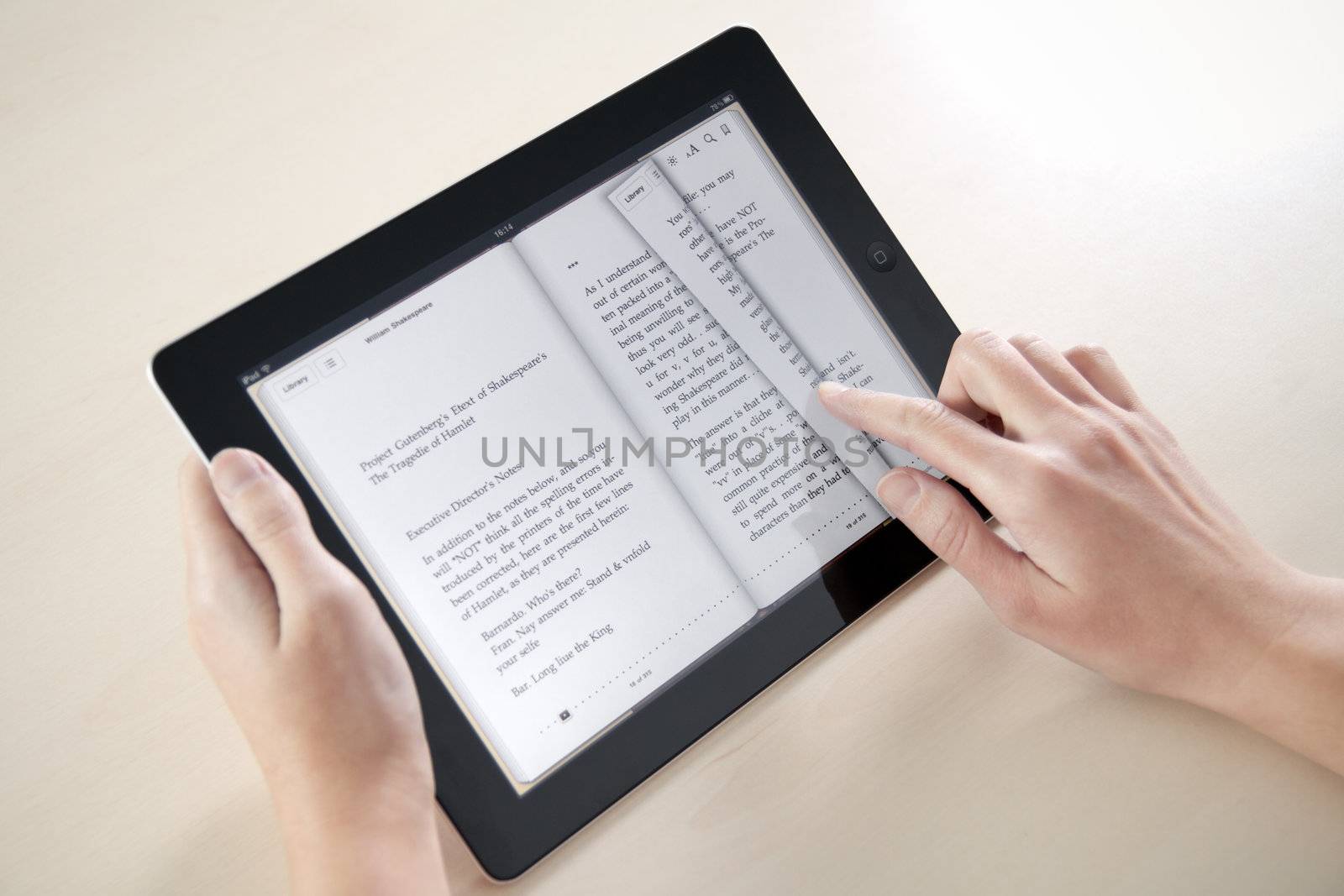 Reading On Apple iPad2 by bloomua