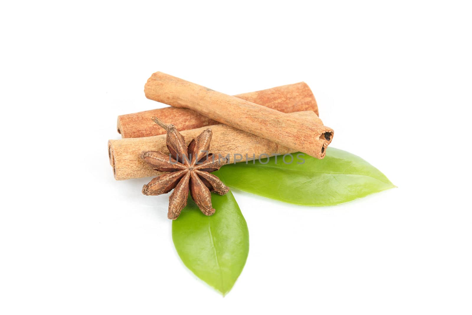 Star Anise, cinnamon and green leave isolated on white background 