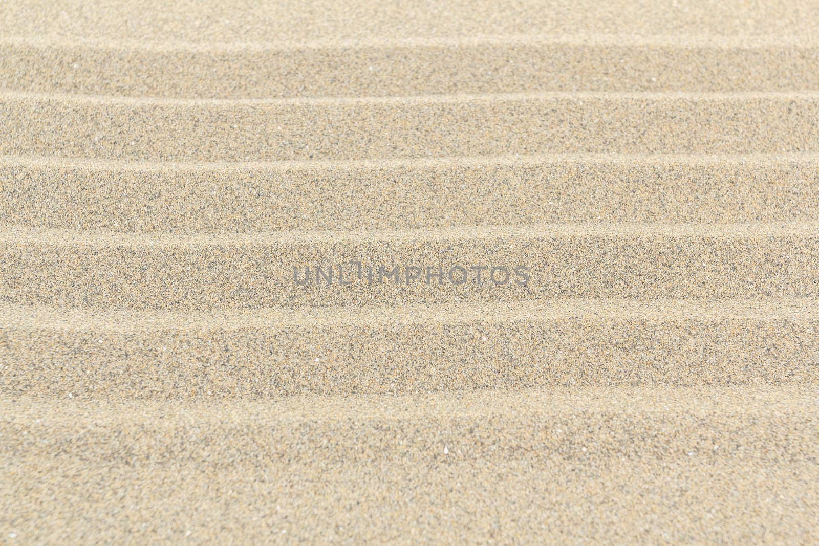 Sandy beach background with lines. Detailed sand texture. Top view 